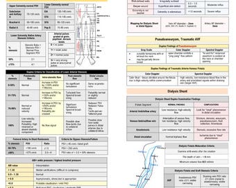 Edelman Rvt Prep RVT Vascular Ultrasound Study Guide | ARDMS Registry Prep | Digital ...