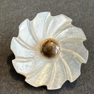 Set of MOP carved mother of pearl vintage loop shank buttons