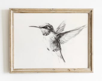 Hummingbird Sketch Wall Art | Black and White Hummingbird Drawing | Modern Bird Line Art Printable, Wildlife art print, Monochrome bird art