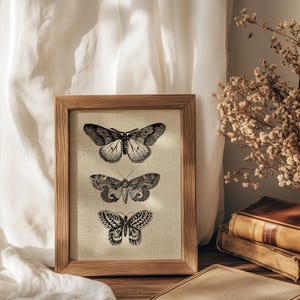 Puede incluir: Una impresi&oacute;n enmarcada de tres ilustraciones de mariposas en blanco y negro sobre un fondo beige. El marco es de madera y tiene un acabado natural. La impresi&oacute;n se muestra sobre una superficie de madera con una pila de libros y una tela blanca.