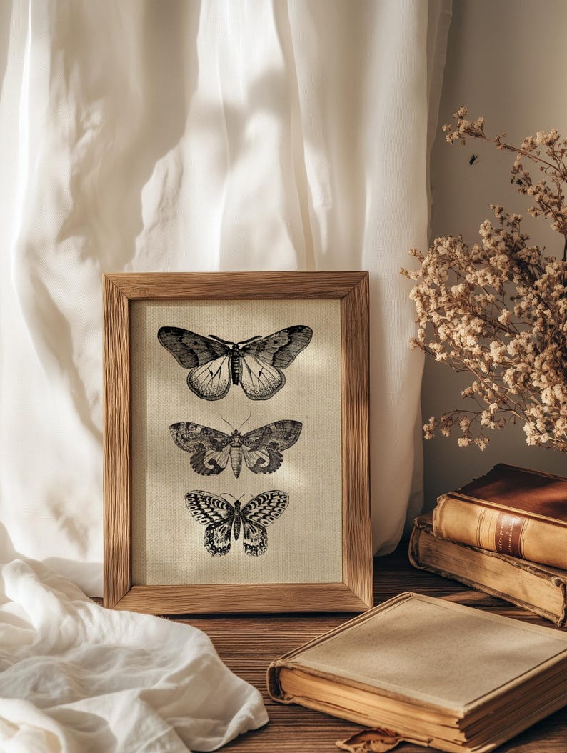 Puede incluir: Una impresi&oacute;n enmarcada de tres ilustraciones de mariposas en blanco y negro sobre un fondo beige. El marco es de madera y tiene un acabado natural. La impresi&oacute;n se muestra sobre una superficie de madera con una pila de libros y una tela blanca.