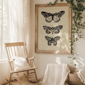 Puede incluir: Una impresi&oacute;n enmarcada de tres ilustraciones de mariposas en blanco y negro sobre un fondo beige. El marco es de madera y tiene un acabado natural. La impresi&oacute;n est&aacute; colgada en una pared blanca.