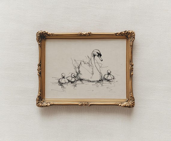 Vintage Swan Sketch Print | Minimalist Bird Wall Art | Antique Swan with Cygnets Illustration | Nursery Decor | Heritage Style | Digital Art