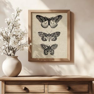 Puede incluir: Una impresi&oacute;n enmarcada con tres ilustraciones en blanco y negro de mariposas sobre un fondo beige.