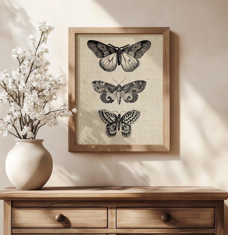 Puede incluir: Una impresi&oacute;n enmarcada con tres ilustraciones en blanco y negro de mariposas sobre un fondo beige.