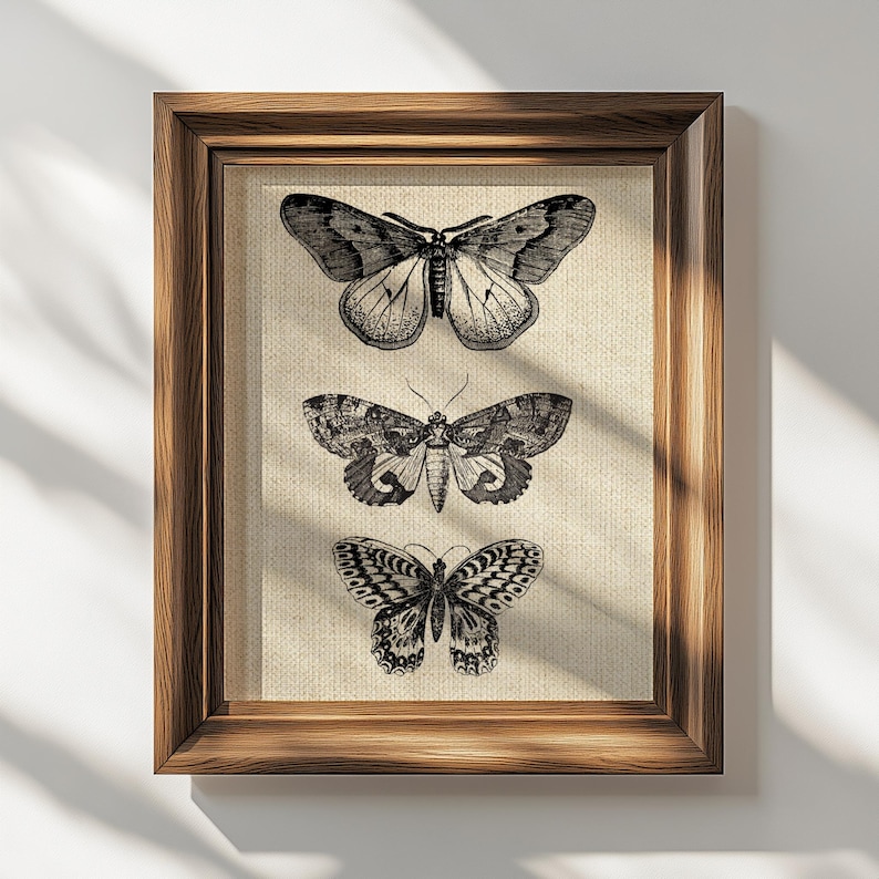 Puede incluir: Una impresi&oacute;n enmarcada con tres ilustraciones en blanco y negro de mariposas sobre un fondo de lienzo beige. Las mariposas est&aacute;n dispuestas verticalmente, con la mariposa m&aacute;s grande en la parte superior y la m&aacute;s peque&ntilde;a en la parte inferior.