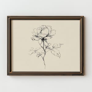 Puede incluir: Una impresión artística botánica enmarcada con un dibujo detallado a pluma y tinta en blanco y negro de una rosa. La obra de arte está sobre un fondo crema y enmarcada en un marco marrón oscuro.