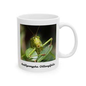 May include: White ceramic mug with a green katydid insect on a leaf. The text "Amblycorypha Oblongifolia" is printed on the mug.