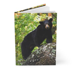 Black Bear Matte Hardcover Journal Black Bear Notebook Diary  Bullet Journal Gift for Writers Nature Lovers