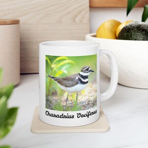 Könnte beinhalten: Weiße Keramiktasse mit einem Schwarzweißbild eines Killdeer-Vogels, der auf grünem Gras steht. Der Text "Charadrius Vociferus" ist auf der Unterseite der Tasse aufgedruckt.