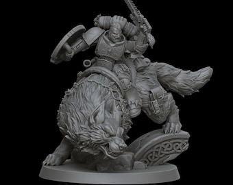 Stormwolf rider 5, vichinghi spaziali, mini wargaming.