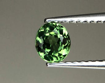 0.45 ct Mozambique Paraiba Tourmaline – Oval Cut Gemstone