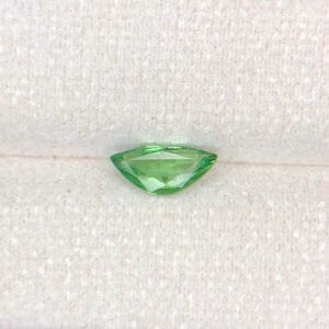 Natural Tsavorite Garnet Gemstone - Vivid Green - Earth-Mined 1.02 ct