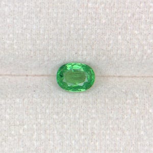 Natural Tsavorite Garnet Gemstone - Vivid Green - Earth-Mined 1.08 ct