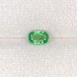 Natural Tsavorite Garnet Gemstone - Vivid Green - Earth-Mined 1.12 ct