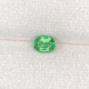 Natural Tsavorite Garnet Gemstone - Vivid Green - Earth-Mined 1.02 ct