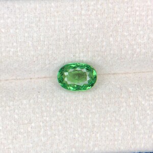 Natural Tsavorite Garnet Gemstone - Vivid Green - Earth-Mined 1.42 ct