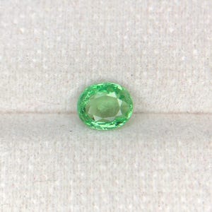 Natural Tsavorite Garnet Gemstone - Vivid Green - Earth-Mined 1.13 ct