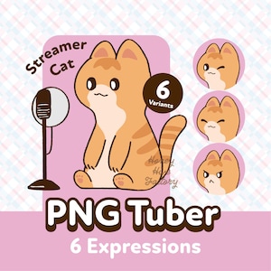 Schattig PNGTuber-model, oranje kat Premade-model pngTuber, VeadoTube-model, pngTuber-kat, PNGTuber, Vtuber-model, GIFTuber