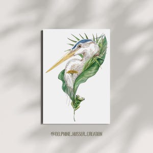 Peut inclure: Une peinture à l'aquarelle d'un héron blanc à tête bleue et d'une grenouille verte qui se cache derrière une grande feuille verte. Le bec du héron est long et jaune, et ses yeux sont noirs. La grenouille est petite et a un corps vert vif avec des yeux noirs. L'arrière-plan est blanc.