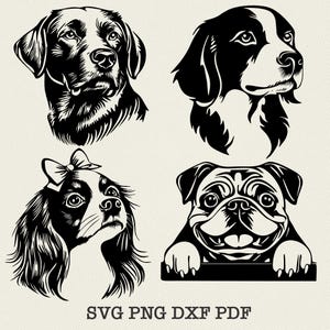 May include: Four black and white silhouette illustrations of dogs. The dogs are a Labrador Retriever, a Brittany Spaniel, a Cavalier King Charles Spaniel, and a Pug. The images are suitable for use as cut files for crafting projects.