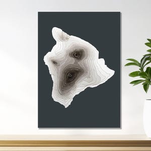 Hawaii, Big Island, 3D Relief Höhenkarte, Einzigartige Fine Art Wandbehang