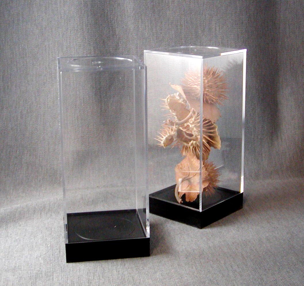 Meat Display Case for sale Only 2 left at 65