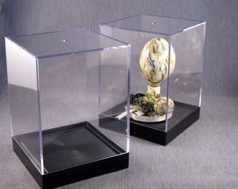 Acrylic Showcase box for display