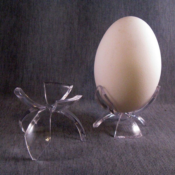 Egg Display Stand - Etsy