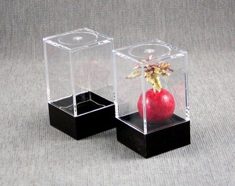 Acrylic Showcase box for display, 2 3/16" tall x 1 3/16" wide on four sides.