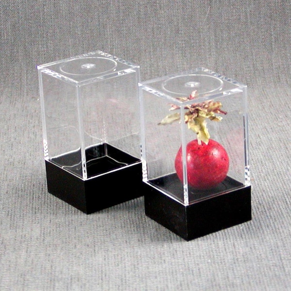 Acrylic Showcase box for display, 2 3/16" tall x 1 3/16" wide on four sides.