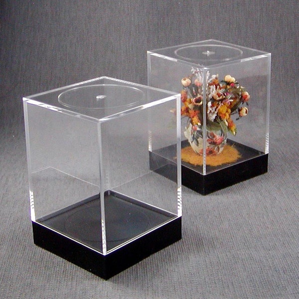 Acrylic Showcase box for display 3 3/8" tall x 2 5/16" wide on four sides.