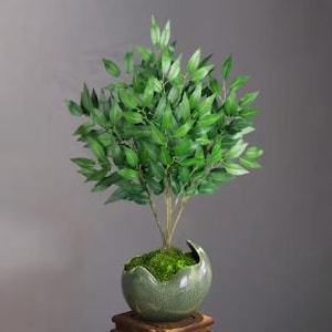 May include: A small, artificial bonsai tree in a round, green ceramic pot. The tree has multiple branches with vibrant green leaves. The pot sits on a small, square wooden stand, creating a natural, decorative accent.