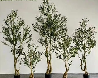 Könnte beinhalten: Fünf künstliche Olivenbäume in schwarzen Töpfen. Die Bäume haben grüne Blätter und kleine schwarze, olivenartige Details. Die Stämme sind hellbraun. Der Text "Multi-gauge Olive tree - High quality 100% new" steht oben.