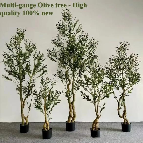 zitrusdünger olivenbaum Purgrün Olivenbaum-Dünger 1 Liter main image 0