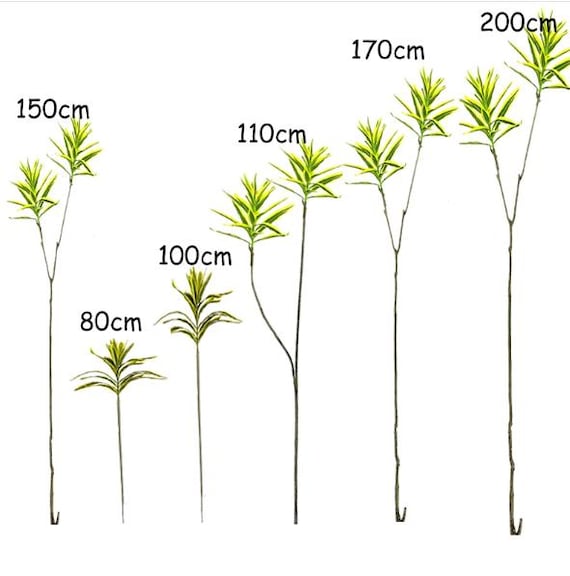 80-200 cm Kunstpflanze Geflschte Lilie Bambus Tropische Pflanze Real Touch  Kunststoff Monstera Fr Hausgarten Party Decor Party Versorgung  Geschenkidee - Etsy.de