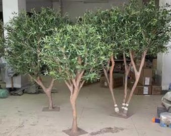 Puede incluir: Tres olivos artificiales con hojas verdes y troncos marrones se alzan sobre bases cuadradas. Los árboles están en un entorno interior con suelo de hormigón e iluminación cenital. Los árboles varían en tamaño y tienen múltiples ramas.