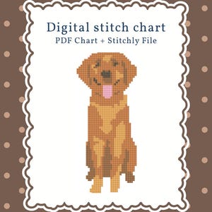 Golden Retriever Needlepoint and Cross Stitch Digital Design, Needlepoint Pattern, Dog Ornament, Stitchly