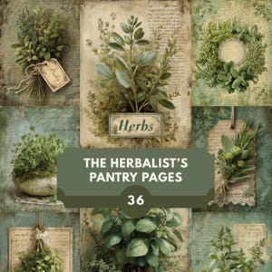 Feuilles de journal indésirable pour garde-manger de l'herboriste - 36 kits d'éphémères d'herbes aromatiques vintage imprimables, papier de scrapbooking apothicaire botanique, herbier Cottagecore
