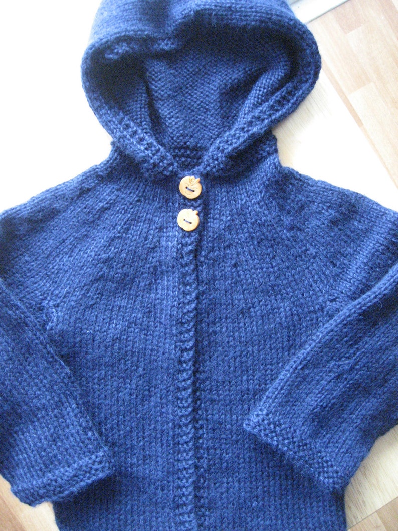 Baby Hoodie Child Hooded Sweater Sweater Size 1 Sweater image 1
