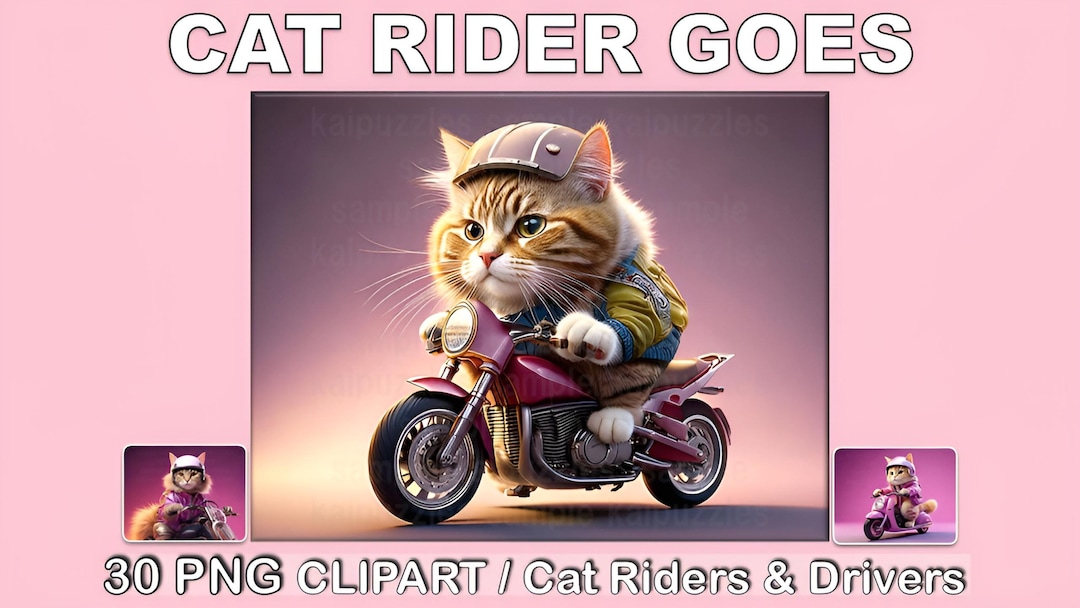 Cat Riders Clipart Bundle | Cute Cat Motorcycle and Scooter Pngs ...