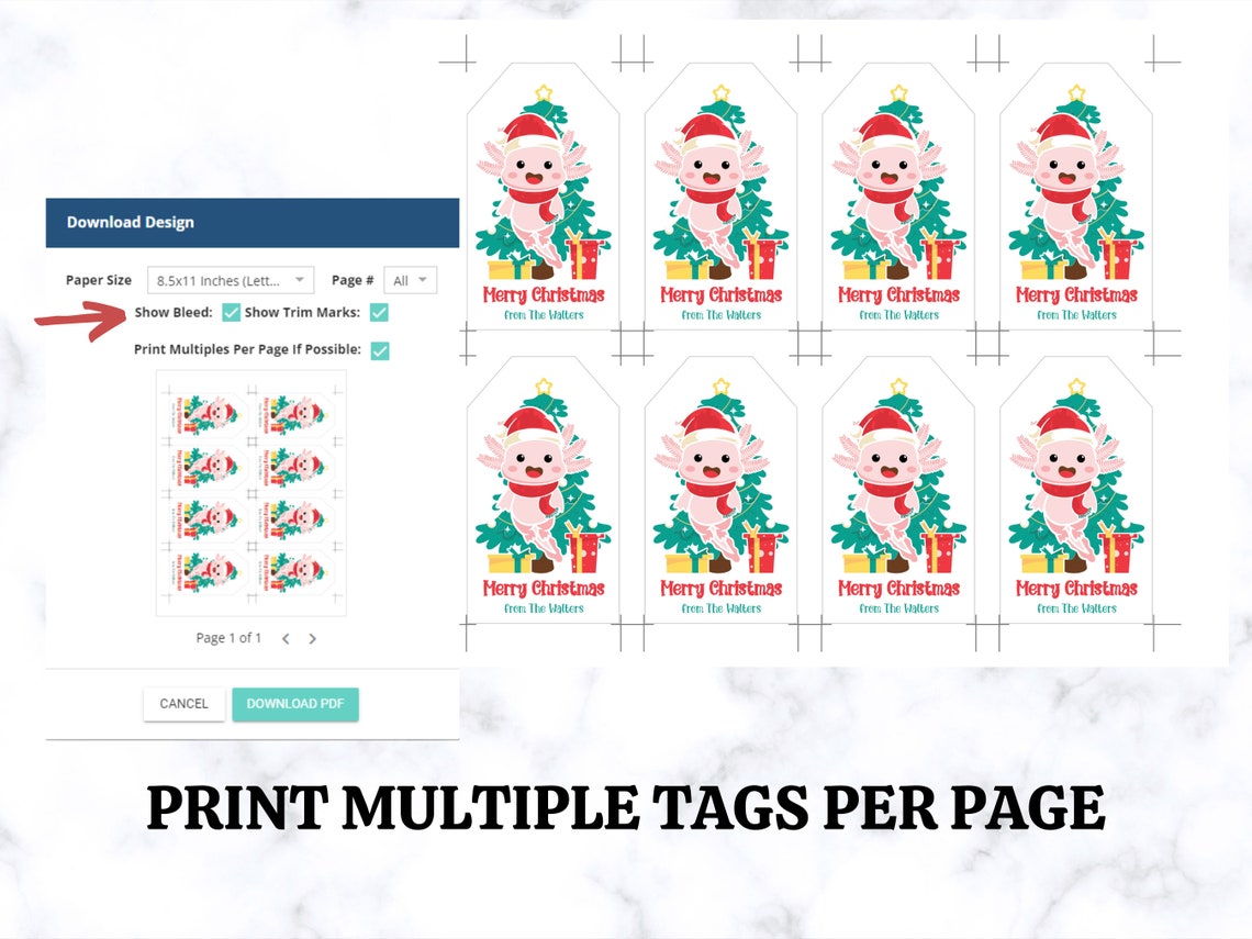 Personalized Axolotl Christmas Hanging Gift Tag 2 X 3.5 Etsy