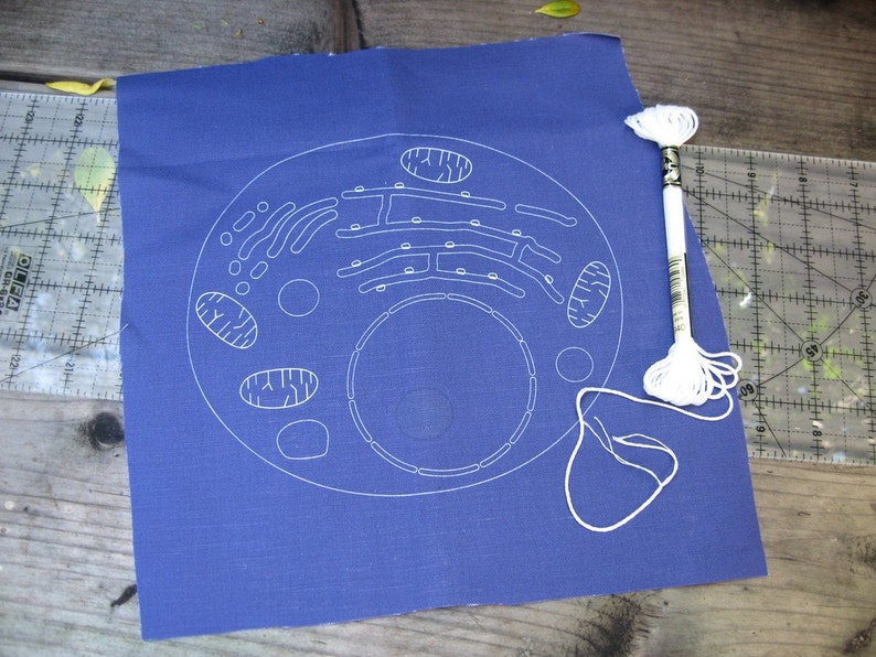 DIY Embroidery Kit, Cell Biology Blueprint, glow in the dark thread, Science craft, geeky gift, science nerd textile craft. Cell Diagram Art image 2