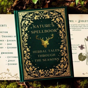 Herbalism eBook: Seasonal Foraging & Plant Recipes (PDF Download)