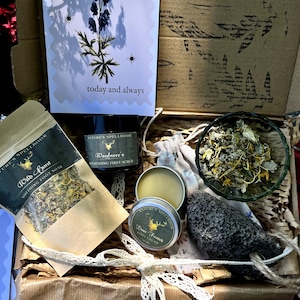 Foot Care Wellness Box Natural Herbal Foot Cream Scrub Soak  Tired Feet Spa Ritual Handmade Botanical Self Care Gift Set for Fathers Day