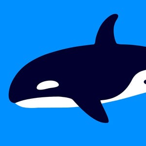 Orca