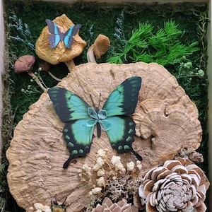 Framed Dried Mushroom Butterfly Decor, cottagecore decor, real preserved fungi with flowers, rustic mushroom display, boho wall art gift