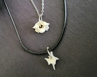 Mini Vertebrae Bone Necklace, real bone jewelry, taxidermy jewelry, oddity and curiosity, vulture culture, dark cottage necklace, goth gift