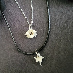 Mini Vertebrae Bone Necklace, real bone jewelry, taxidermy jewelry, oddity and curiosity, vulture culture, dark cottage necklace, goth gift image 1