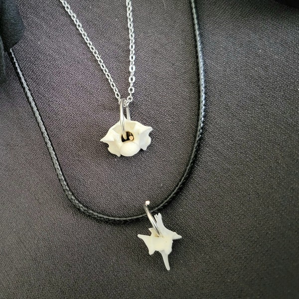 Mini Vertebrae Bone Necklace, real bone jewelry, taxidermy jewelry, oddity and curiosity, vulture culture, dark cottage necklace, goth gift